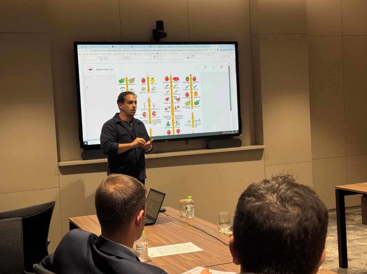 Interactive Courses and Workshops - presentation