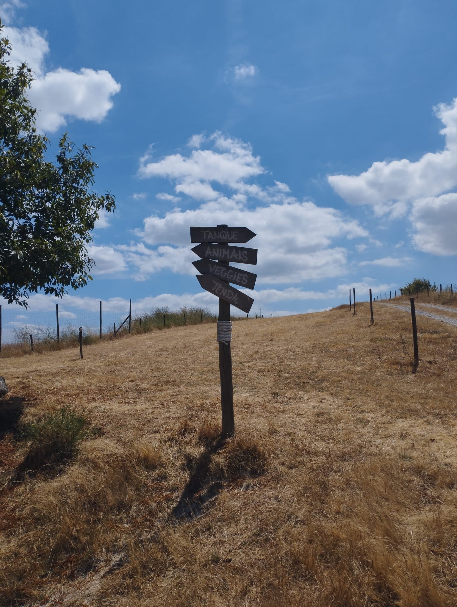 Practical Field Visit - yön tabelası