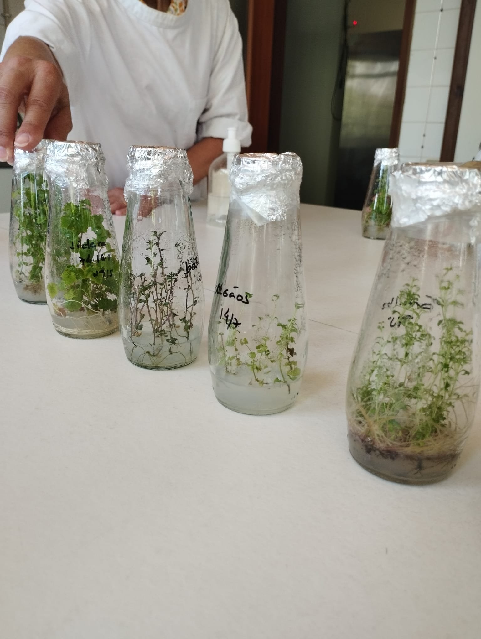 Practical Field Visit - laboratuvar