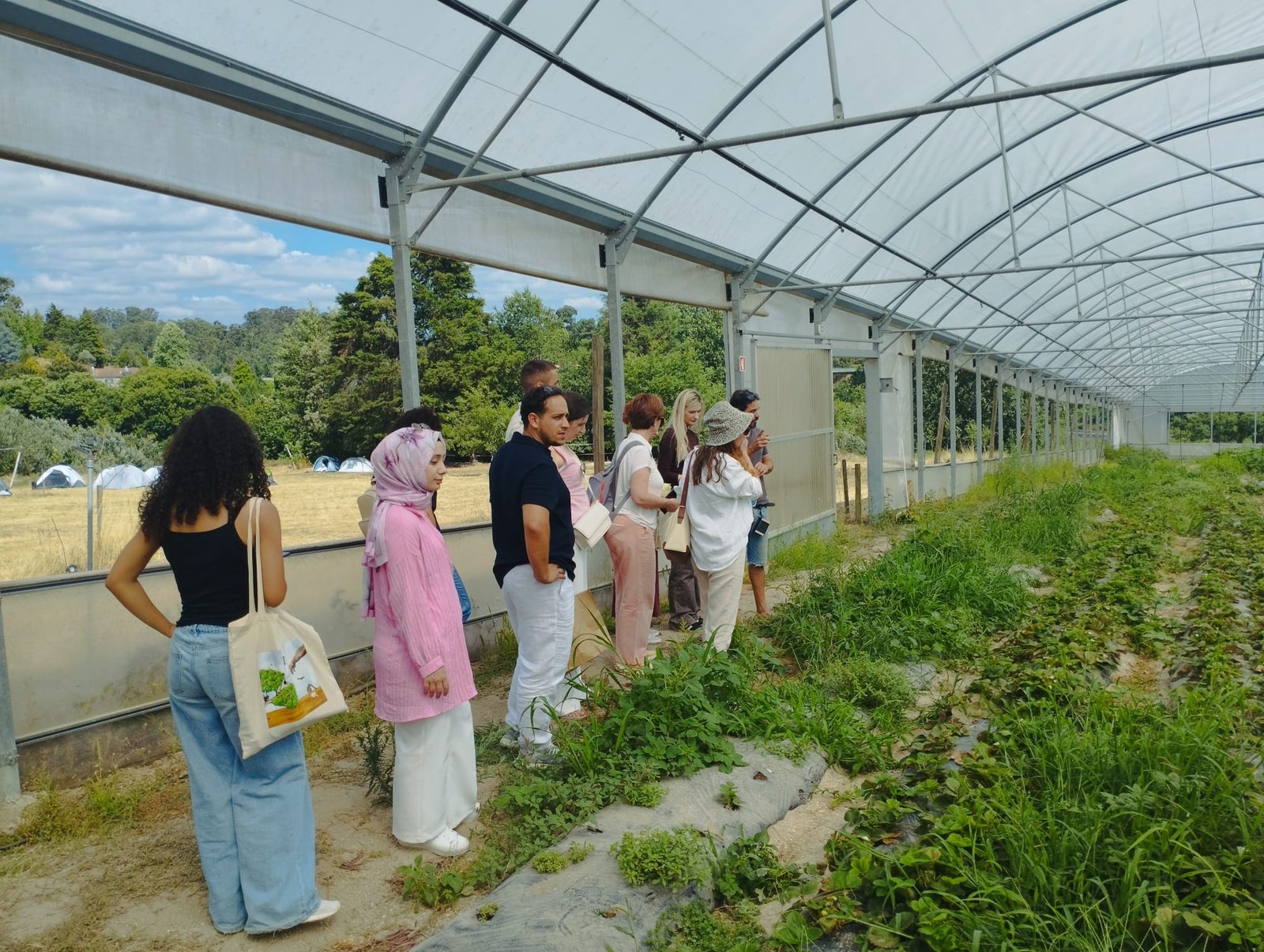 Practical Field Visit - grup