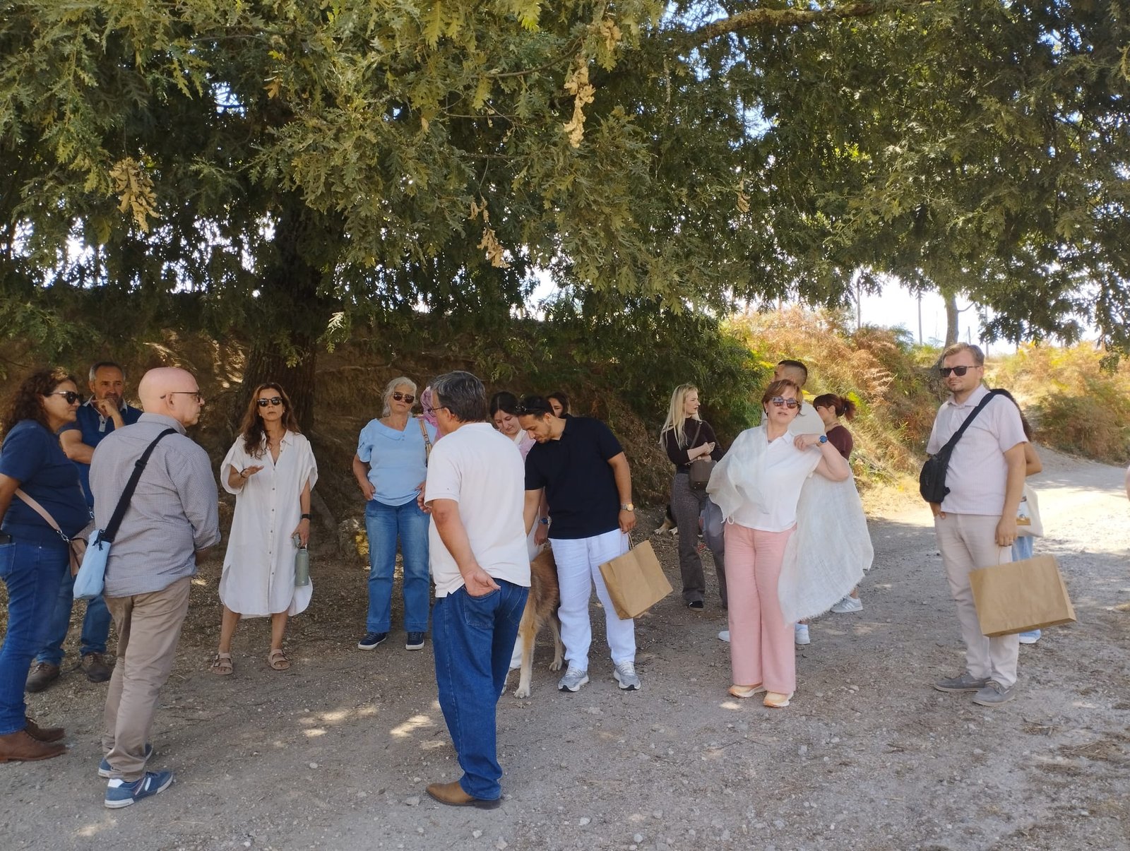 Practical Field Visit