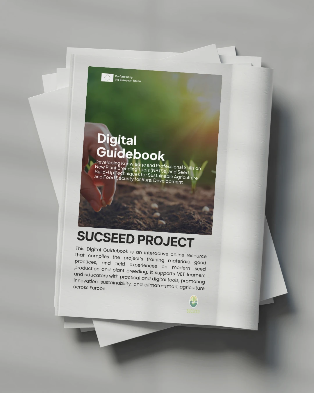 Comprehensive Curriculum and Training Program  